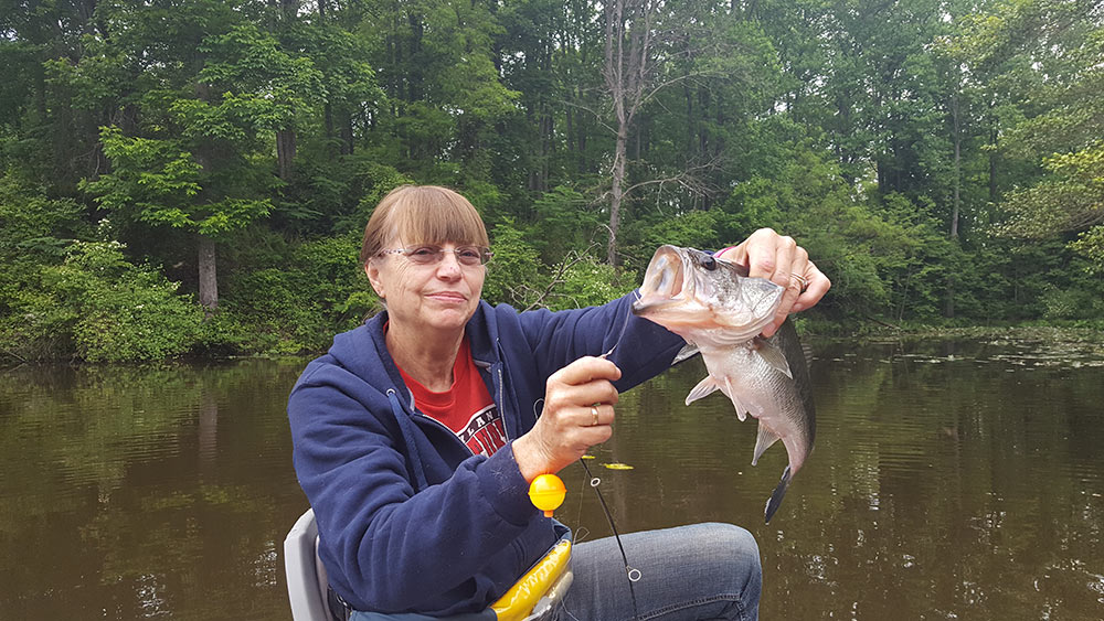 A Tribute to Ann Graziano