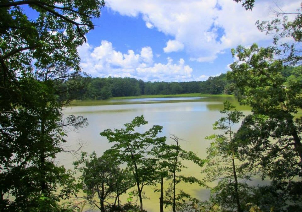 Revenue Sharing: Advocacy Update