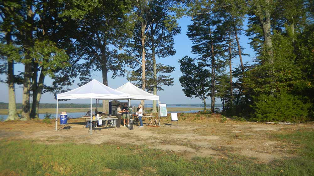 Fones Cliffs Bioblitz