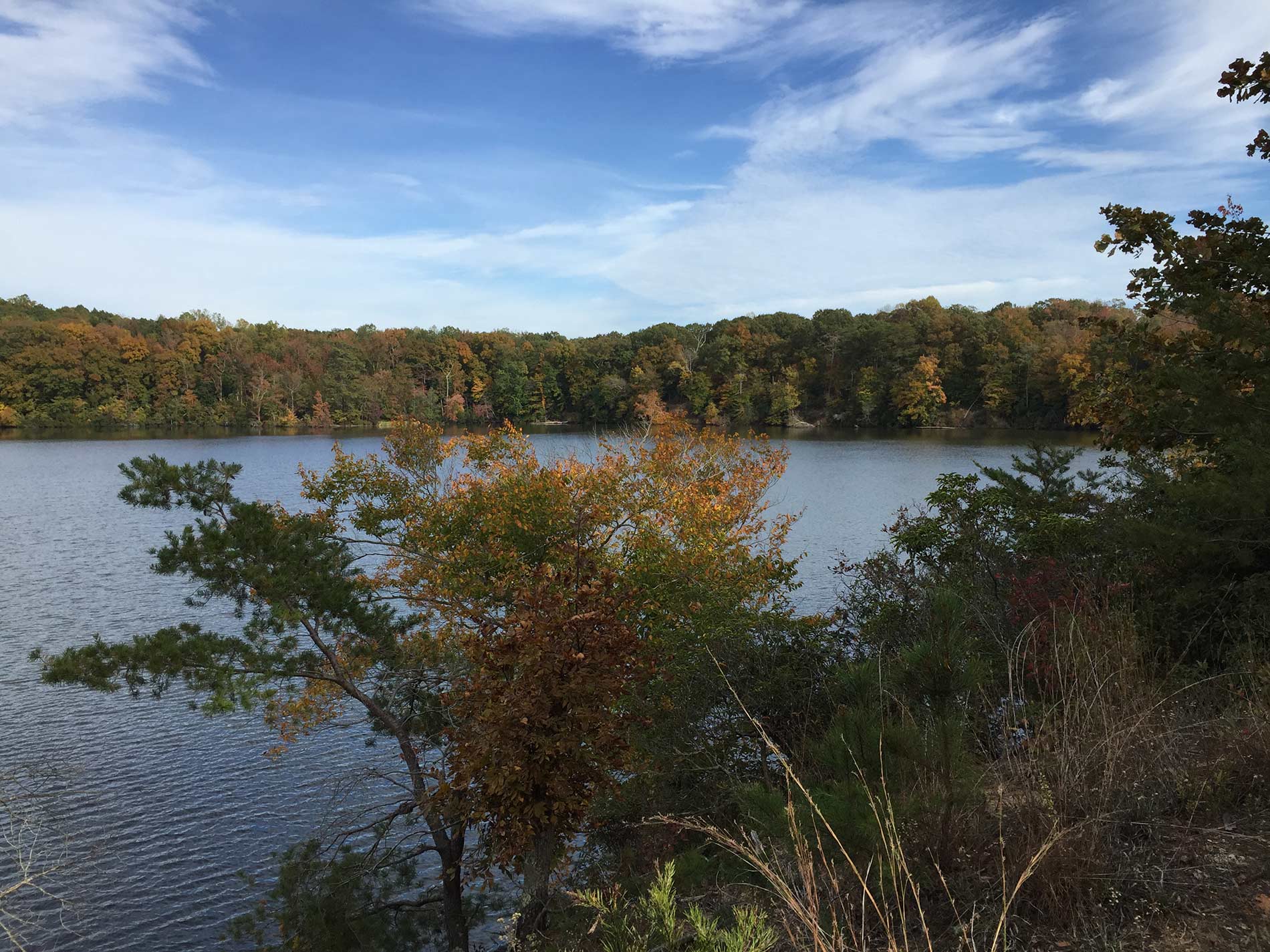 Cat Point Creek | Rappahannock Wildlife Refuge Friends