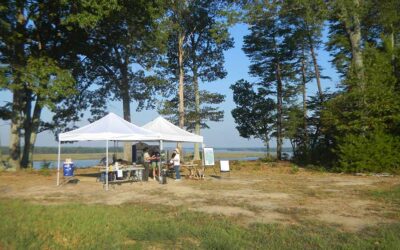 Fones Cliffs Bioblitz
